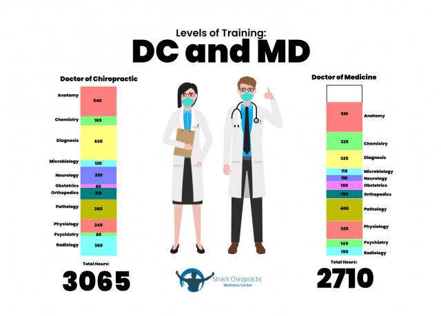 Graphic demonstrating the similarities in education for chiropractors and MDs.